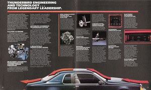 1983 Ford Thunderbird-14-15.jpg